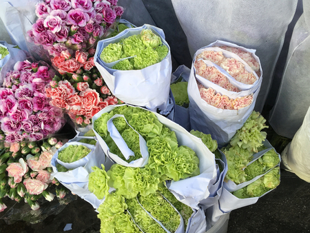 Carnation bouquetの写真素材