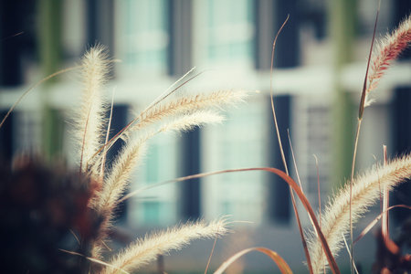 Vintage spring flowersの写真素材