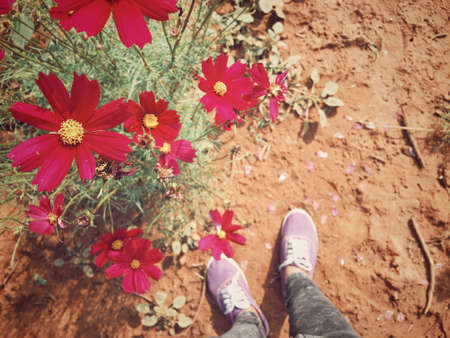 Selfie of sneakers with pink flowerの写真素材