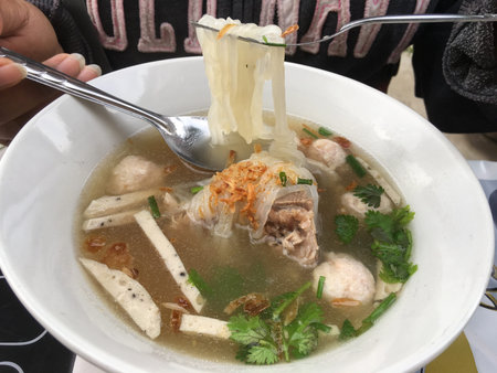 Vietnamese pho noodle