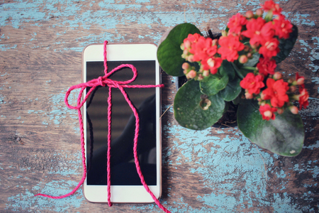Gift of earphone with smart phoneの写真素材