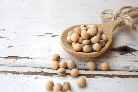 Soy beansの写真素材