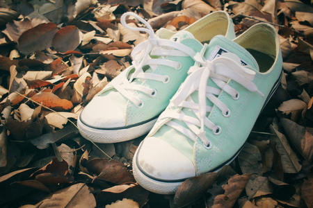 Sneakersの写真素材