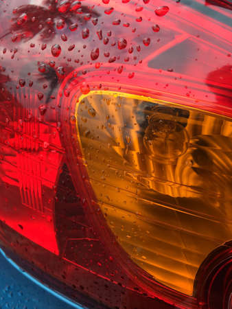 Water drop on carの写真素材