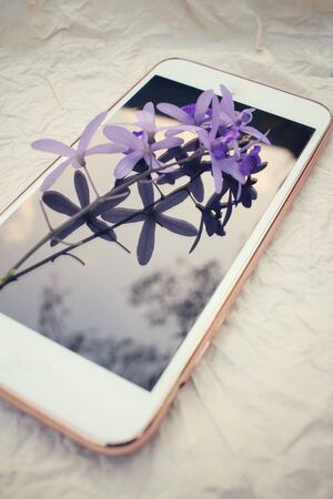 Purple flowers with smart phoneの写真素材
