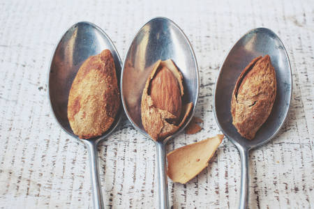 almondsの写真素材