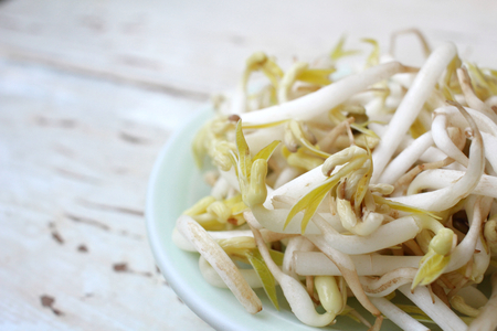 Bean sprouts の写真素材