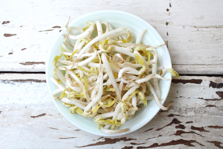Bean sprouts の写真素材