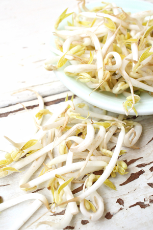 Bean sprouts の写真素材