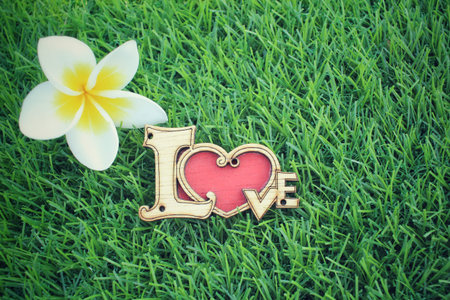 Alphabet of love with white frangipani flowerの写真素材