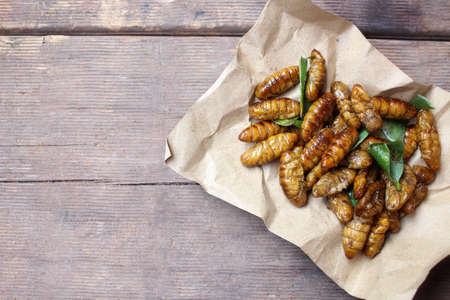 Fried insectの写真素材