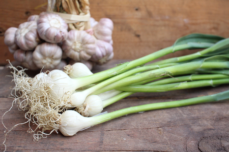 Plant of garlic on the wood backgroundの写真素材