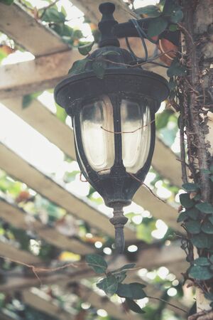 Hanging lampの写真素材