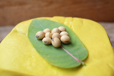 Soybeans and tofuの写真素材