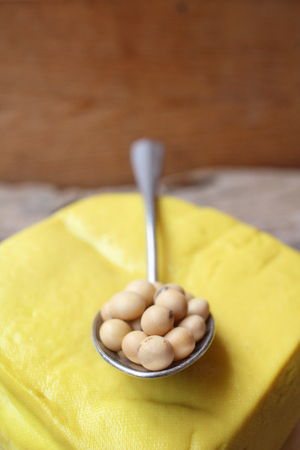 Soybeans and tofuの写真素材