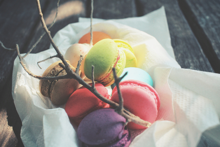 French macaroons with branch treeの写真素材