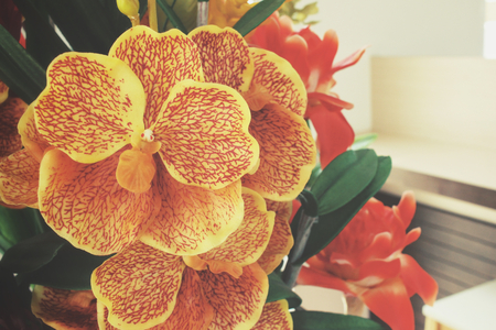 Beautiful orchid of artificial flowersの写真素材