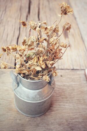 Dried flowersの写真素材