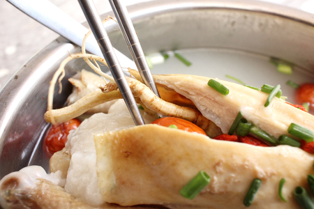 Ginseng chicken soup korean foodの写真素材
