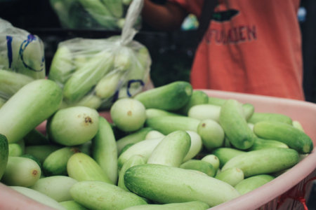 cucumber