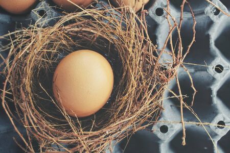 Eggs in a nestの写真素材