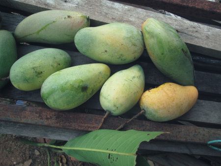 Ripe mango.