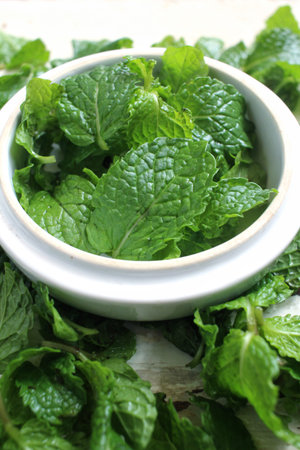 Pepper mint leaves