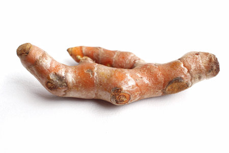 Roots turmeric isolated