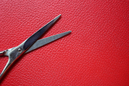 Hair cutting shears