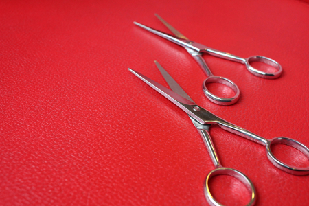 Hair cutting shearsの写真素材