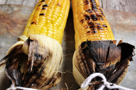 Grilled cornの写真素材