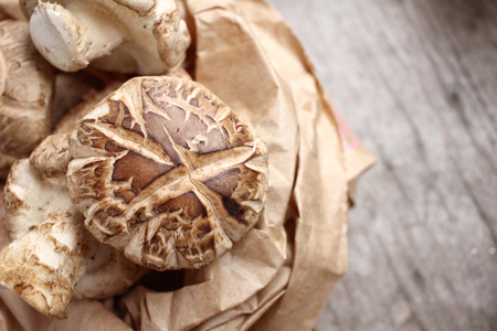 Shiitake mushroomの写真素材