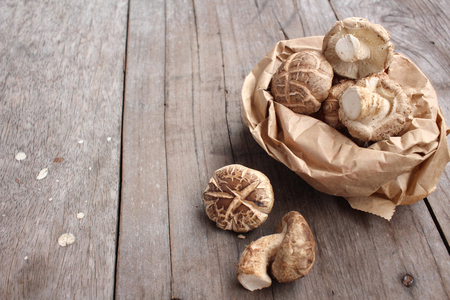 Shiitake mushroomの写真素材