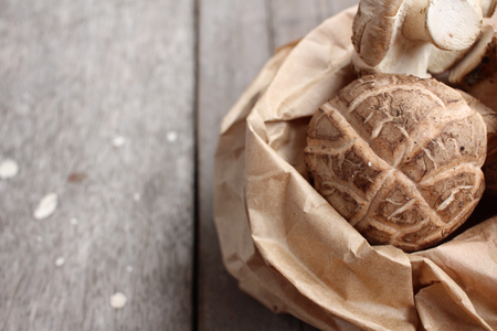 Shiitake mushroomの写真素材