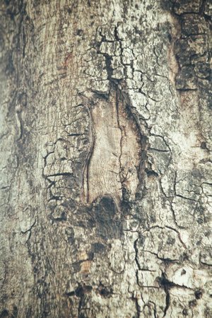 Vintage wood background