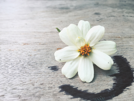 Stain of water with white flowerの写真素材