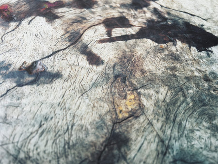 Stain of waterの写真素材