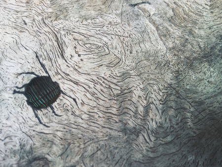 Stain of waterの写真素材