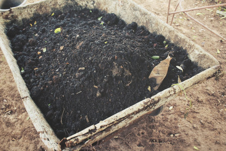 Soil