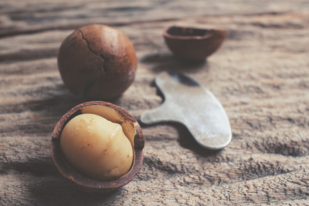 Macadamia nutsの写真素材