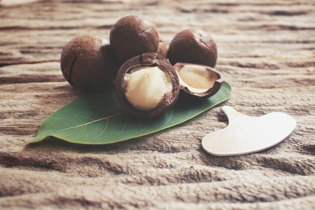 Macadamia nutsの写真素材