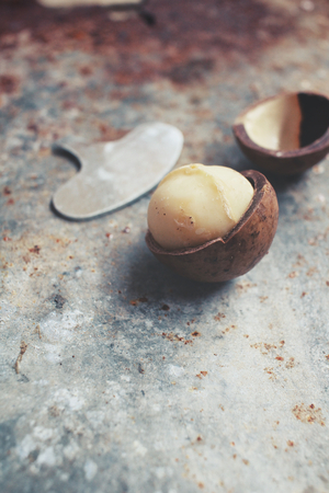 Macadamia nutsの写真素材