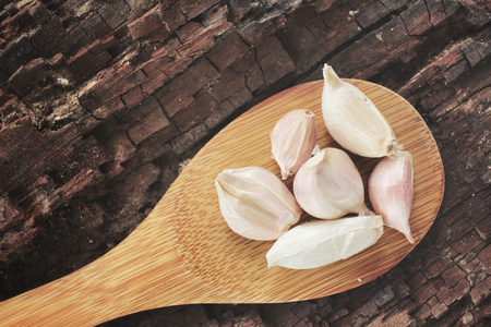 Garlicの写真素材