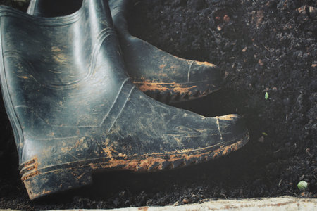Rubber boots on soil