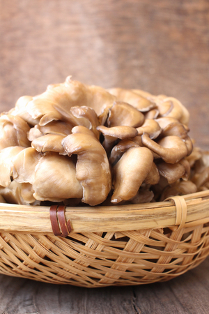 Miyake mushroomsの写真素材