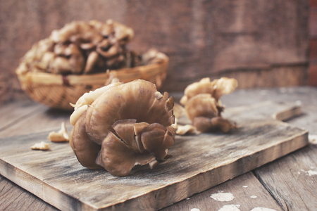 Miyake mushroomsの写真素材