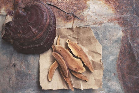 Ganoderma lucidum - Ling zhi mushroom.の写真素材