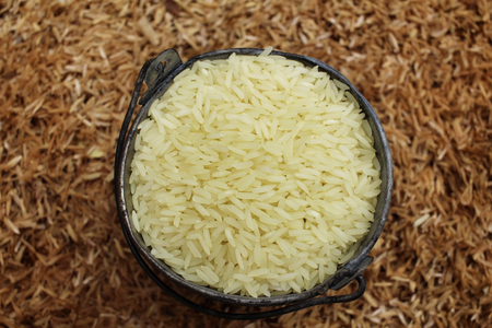 Raw rice grainの写真素材