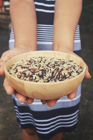 Raw rice grain on handsの写真素材