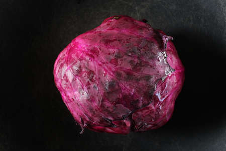 Red cabbageの写真素材